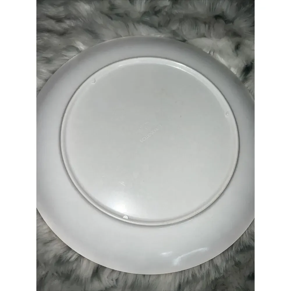 Pair of 1977 McDonald's Plastic Plates Lexington Made‎ In USA 10